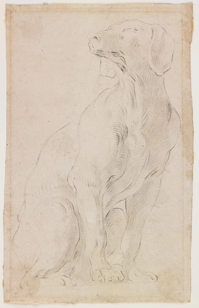 Studio di cane - Minneapolis Institute of Arts